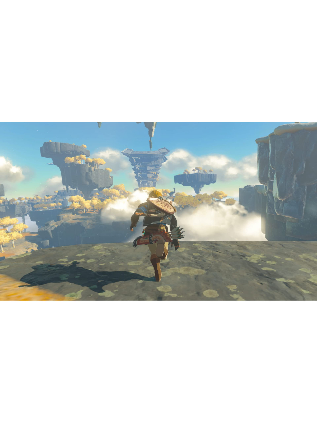 The Legend of Zelda Tears of the Kingdom switch